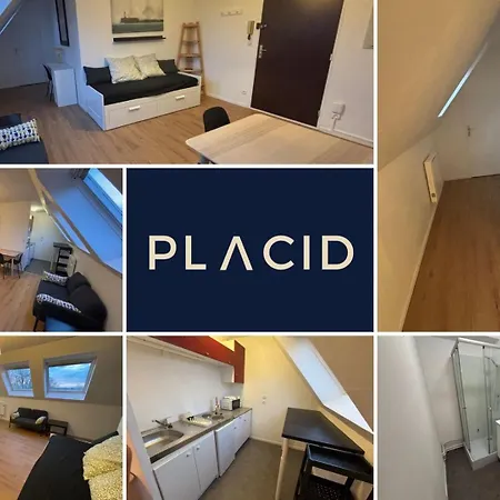 Le Cocon Douaisien アパート ドゥエー