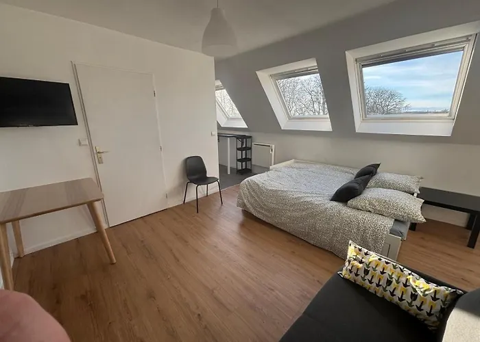 Апартаменты Le Cocon Douaisien Дуэ